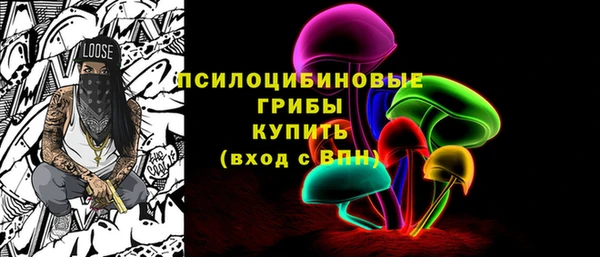 стаф Волоколамск