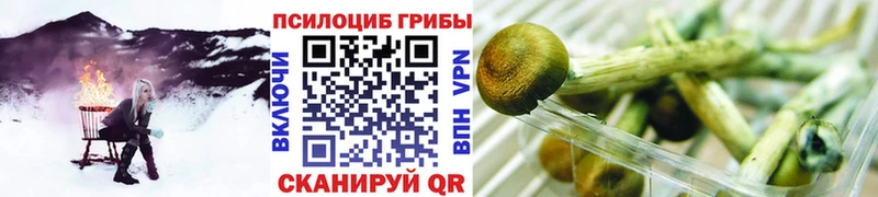 Псилоцибиновые грибы ЛСД  Голицыно 